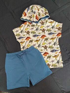 Bums and Roses ‘Dinomite’ Short Sleeve Hooded Sweatshirt & Short Set